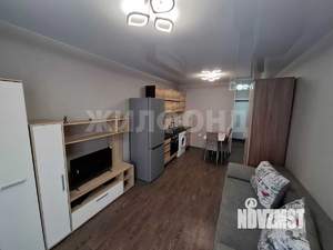 Студия квартира, на длительный срок, 24м2, 4/17 этаж