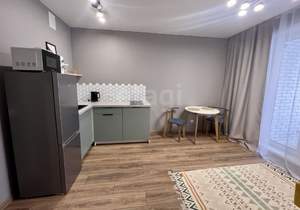 Студия квартира, на длительный срок, 24м2, 5/24 этаж