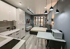 1-к квартира, на длительный срок, 26м2, 16/18 этаж