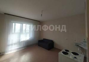 1-к квартира, на длительный срок, 24м2, 1/17 этаж