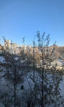 Студия квартира, на длительный срок, 21м2, 2/17 этаж