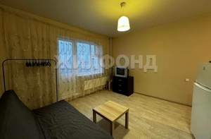 1-к квартира, на длительный срок, 24м2, 7/17 этаж