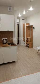 1-к квартира, на длительный срок, 21м2, 11/25 этаж