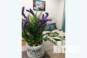 1-к квартира, посуточно, 20м2, 2/23 этаж