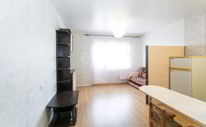 1-к квартира, на длительный срок, 27м2, 15/16 этаж