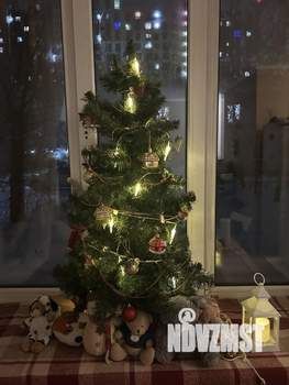 2-к квартира, на длительный срок, 37м2, 1/2 этаж