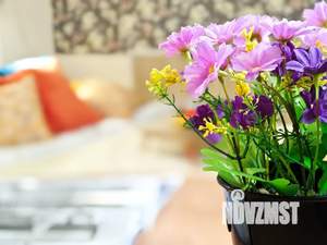 1-к квартира, посуточно, 20м2, 1/5 этаж