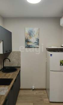 Студия квартира, на длительный срок, 27м2, 12/17 этаж