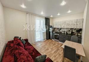 1-к квартира, на длительный срок, 22м2, 4/17 этаж