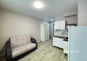 Студия квартира, на длительный срок, 22м2, 7/18 этаж