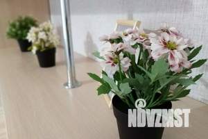 1-к квартира, посуточно, 33м2, 3/9 этаж