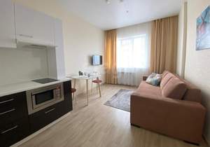 Студия квартира, на длительный срок, 25м2, 16/22 этаж