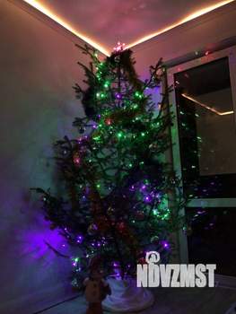 Студия квартира, на длительный срок, 31м2, 25/25 этаж