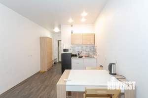 Студия квартира, на длительный срок, 24м2, 17/17 этаж