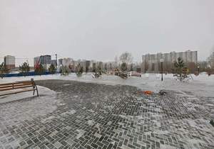 1-к квартира, на длительный срок, 20м2, 8/17 этаж