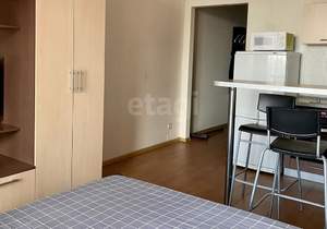 Студия квартира, на длительный срок, 30м2, 15/15 этаж