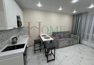 Студия квартира, на длительный срок, 24м2, 8/18 этаж