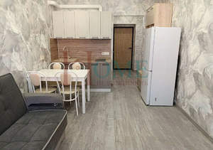 Студия квартира, на длительный срок, 24м2, 7/13 этаж