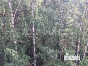 1-к квартира, на длительный срок, 56м2, 5/6 этаж