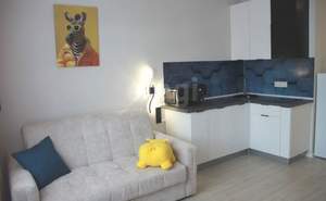 Студия квартира, на длительный срок, 26м2, 8/25 этаж