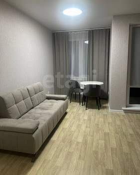 Студия квартира, на длительный срок, 27м2, 13/17 этаж