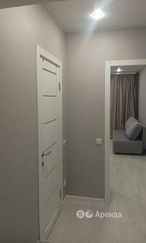 Студия квартира, на длительный срок, 25м2, 11/20 этаж