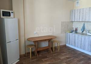 Студия квартира, на длительный срок, 27м2, 13/19 этаж