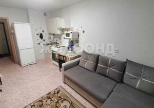 1-к квартира, на длительный срок, 23м2, 5/10 этаж