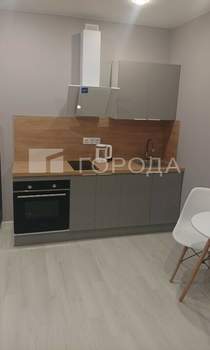 Студия квартира, на длительный срок, 25м2, 11/20 этаж