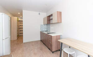 Студия квартира, на длительный срок, 20м2, 11/17 этаж