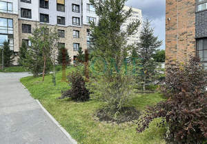 1-к квартира, на длительный срок, 39м2, 8/17 этаж