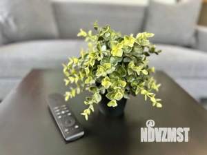 1-к квартира, посуточно, 21м2, 1/1 этаж