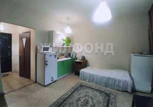 1-к квартира, на длительный срок, 22м2, 9/17 этаж