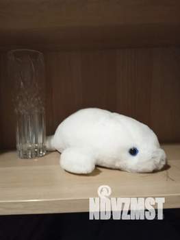 Студия квартира, посуточно, 30м2, 3/18 этаж