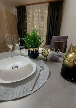 Студия квартира, на длительный срок, 21м2, 7/11 этаж