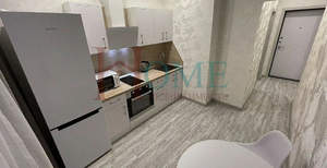 1-к квартира, на длительный срок, 33м2, 10/17 этаж