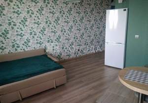 Студия квартира, на длительный срок, 29м2, 17/18 этаж