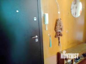 2-к квартира, на длительный срок, 43м2, 3/5 этаж