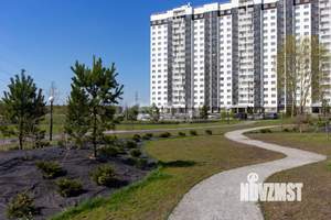 Студия квартира, на длительный срок, 25м2, 13/17 этаж