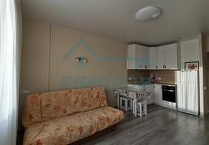 Студия квартира, на длительный срок, 30м2, 12/17 этаж