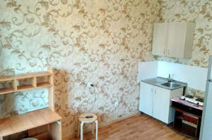 1-к квартира, на длительный срок, 24м2, 8/27 этаж
