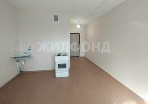 1-к квартира, на длительный срок, 24м2, 1/17 этаж