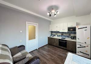 1-к квартира, на длительный срок, 42м2, 8/17 этаж