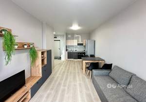 1-к квартира, на длительный срок, 42м2, 10/24 этаж