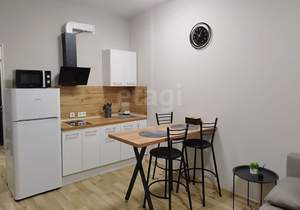 Студия квартира, на длительный срок, 24м2, 17/18 этаж