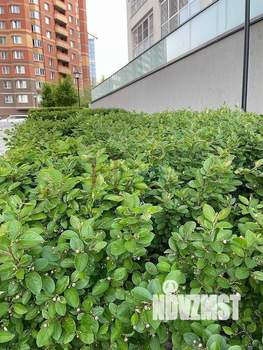 2-к квартира, на длительный срок, 75м2, 4/19 этаж