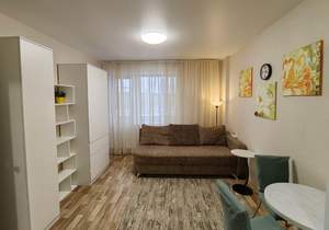 Студия квартира, на длительный срок, 24м2, 2/17 этаж