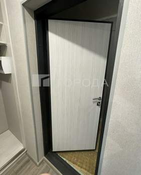 1-к квартира, на длительный срок, 32м2, 9/9 этаж
