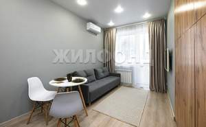 1-к квартира, на длительный срок, 24м2, 15/16 этаж