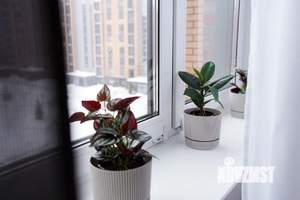 1-к квартира, посуточно, 34м2, 5/9 этаж